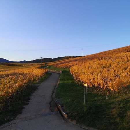 L'Altenberg Bergheim Bagian luar foto