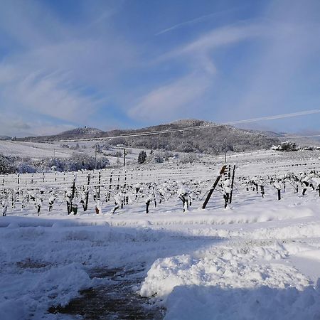 L'Altenberg Bergheim Bagian luar foto