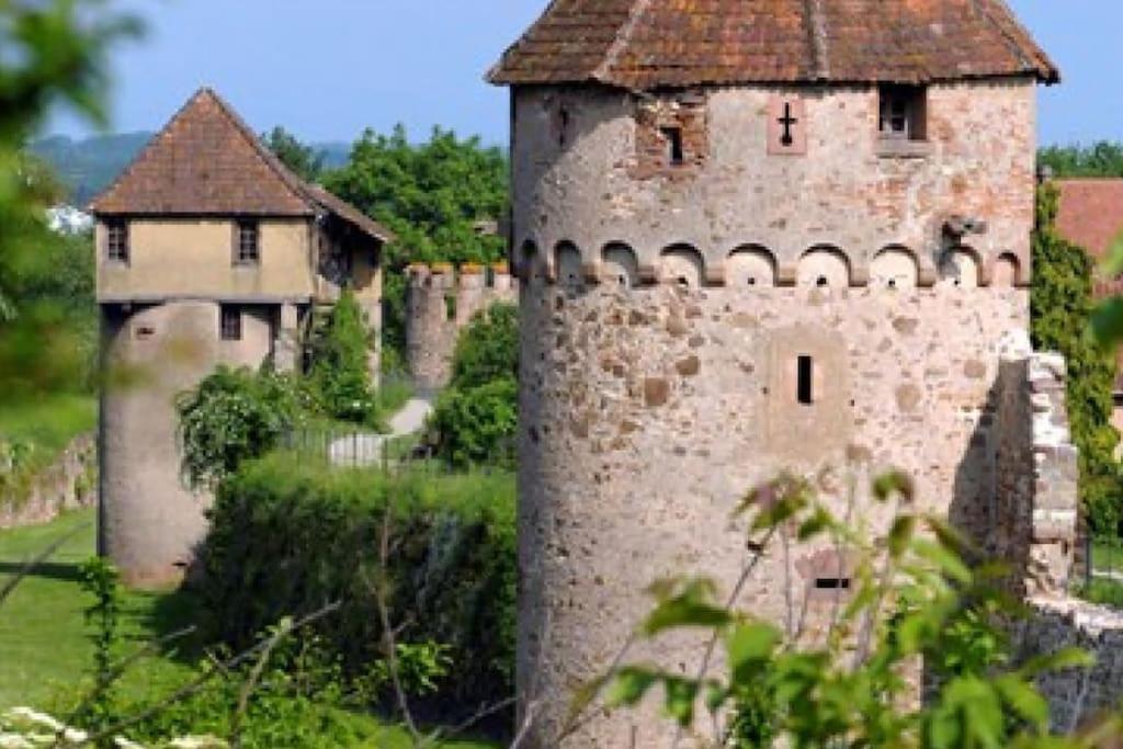 L'Altenberg Bergheim Bagian luar foto