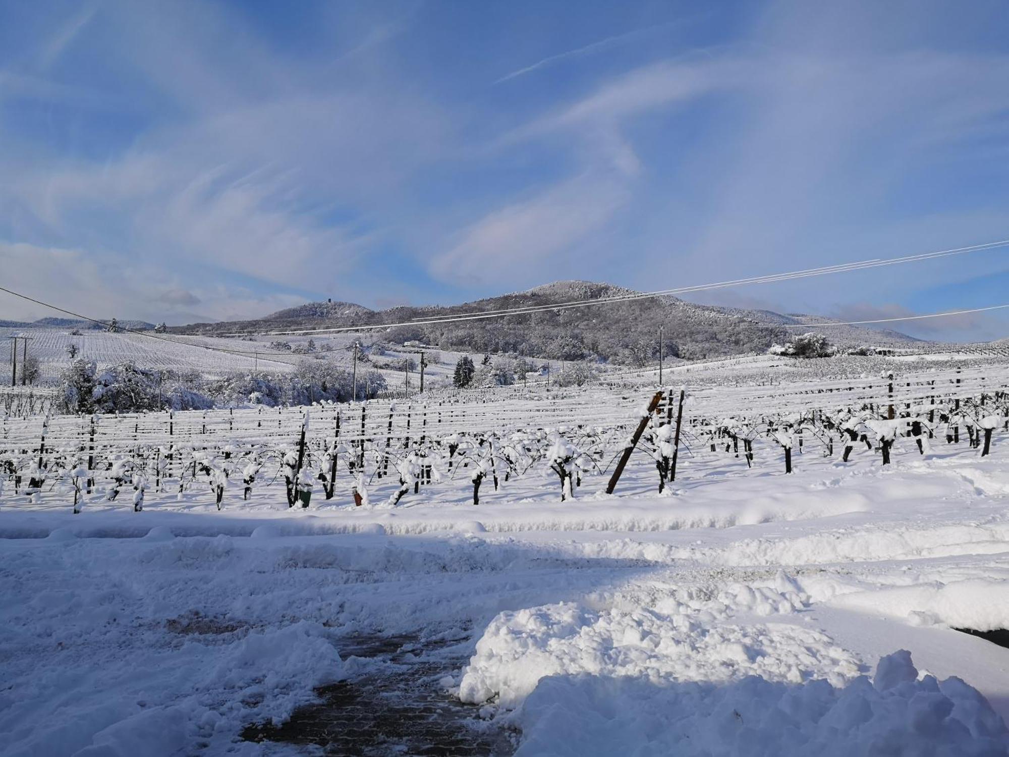 L'Altenberg Bergheim Bagian luar foto